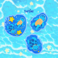 Turtles - Sticker